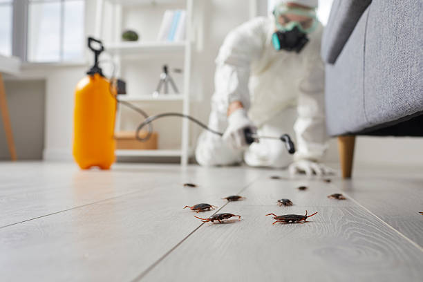 Commercial Kitchen Cockroach Control in Navarre